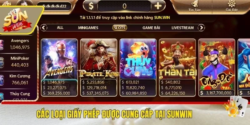 Các loại giấy phép được cung cấp tại SUNWIN